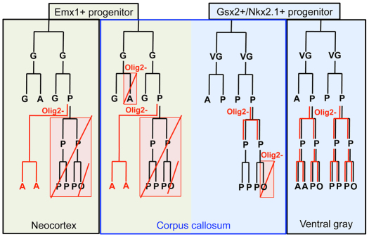 Fig. 9.