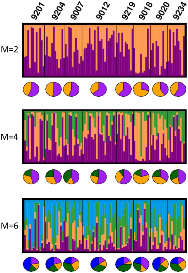 FIGURE 4