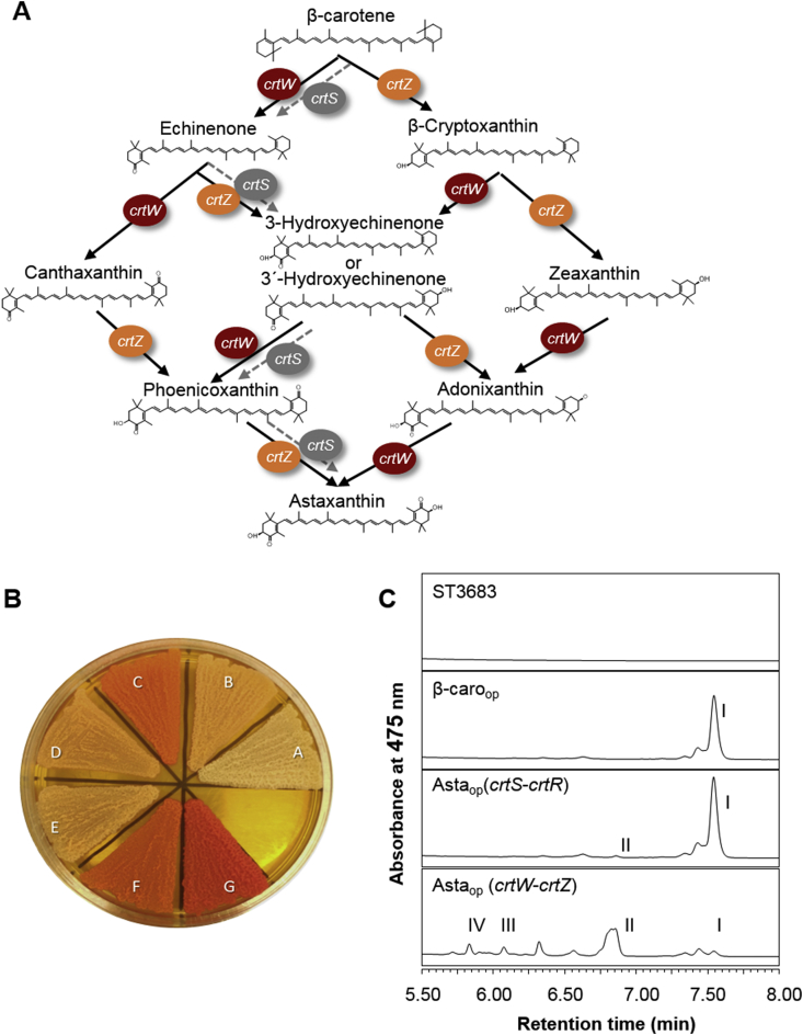 Fig. 3