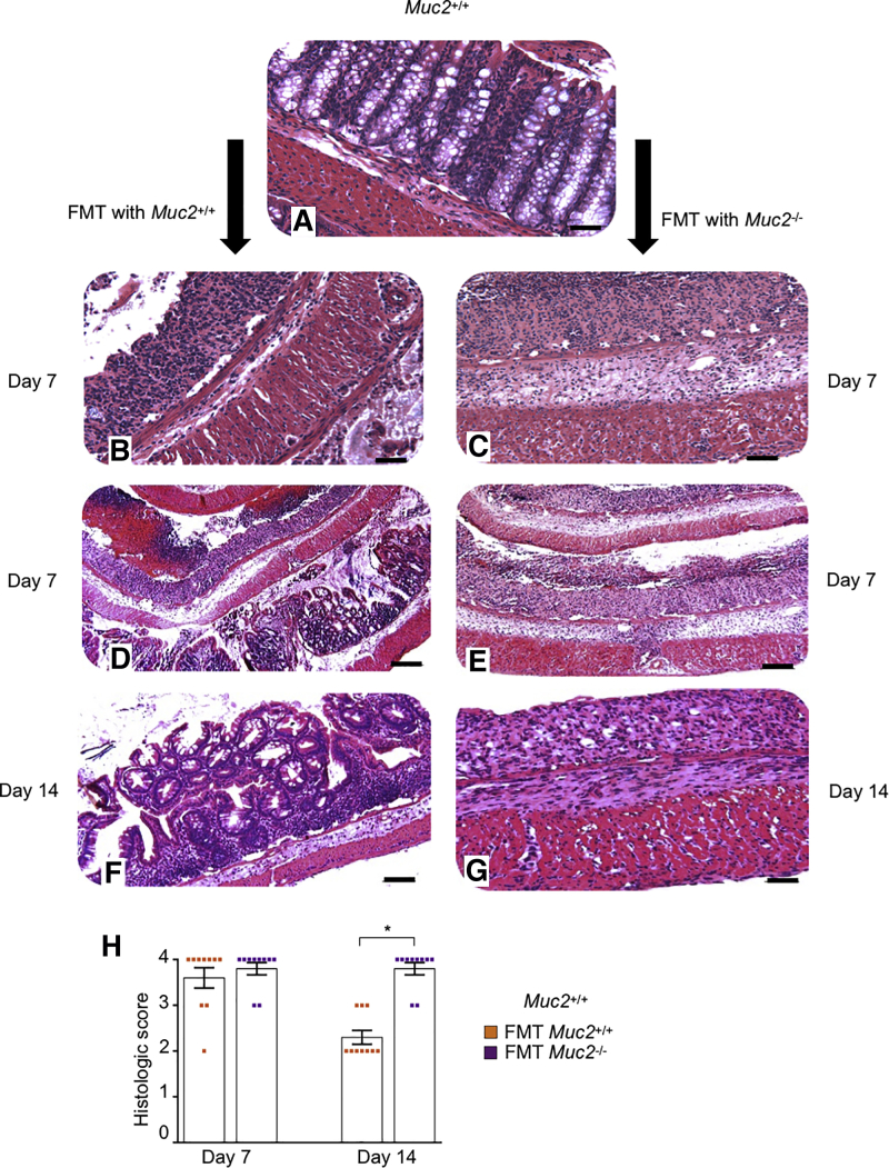 Figure 5