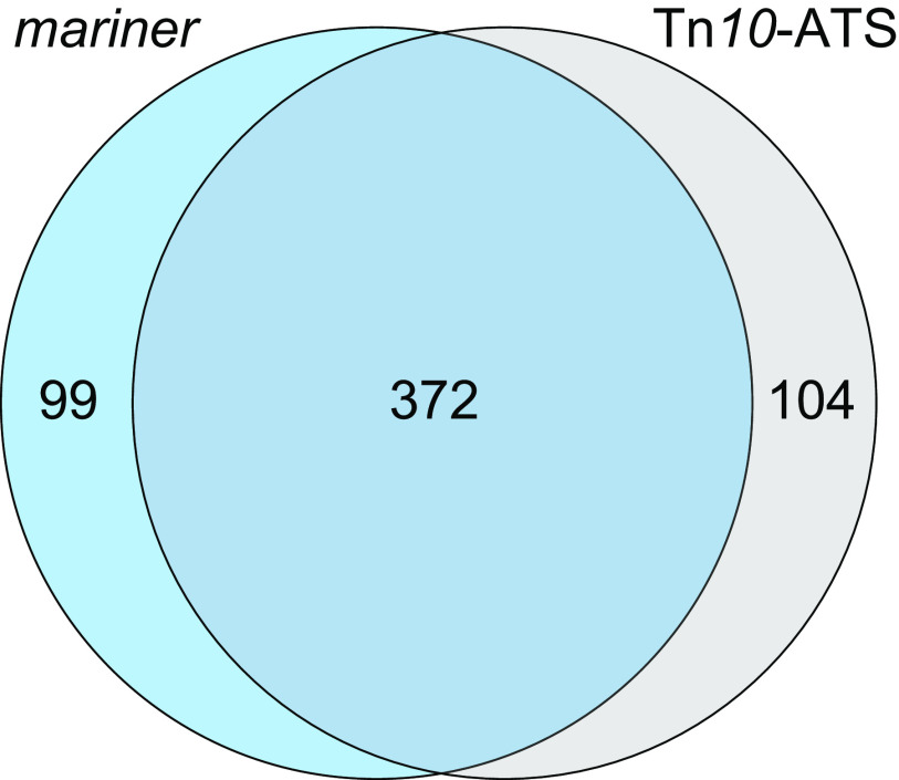 FIG 1