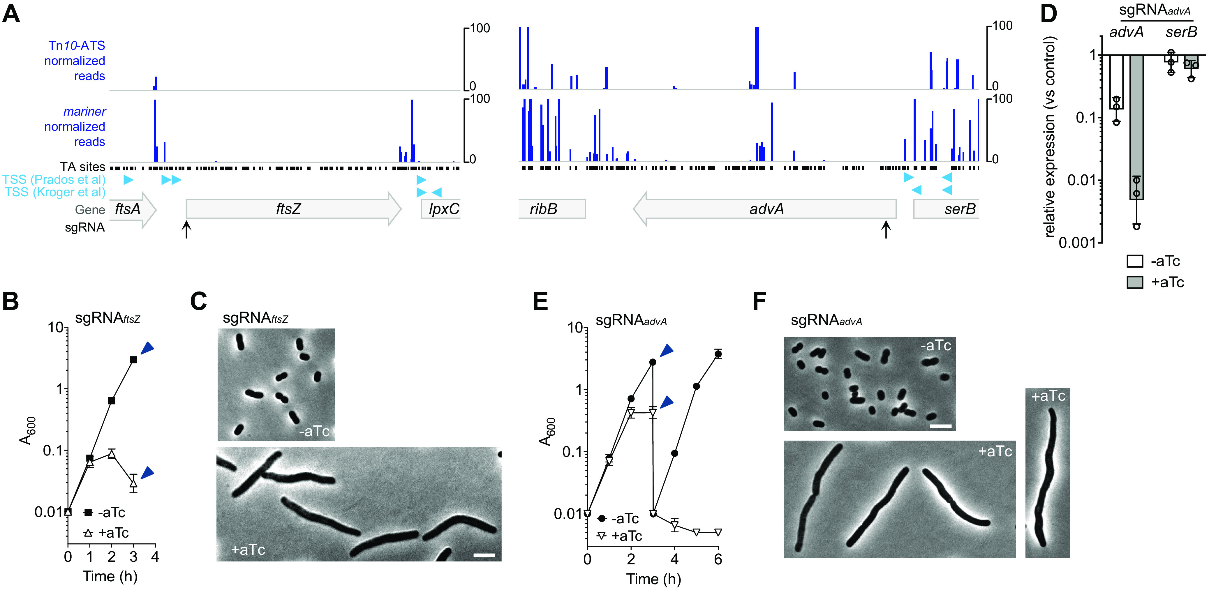 FIG 3