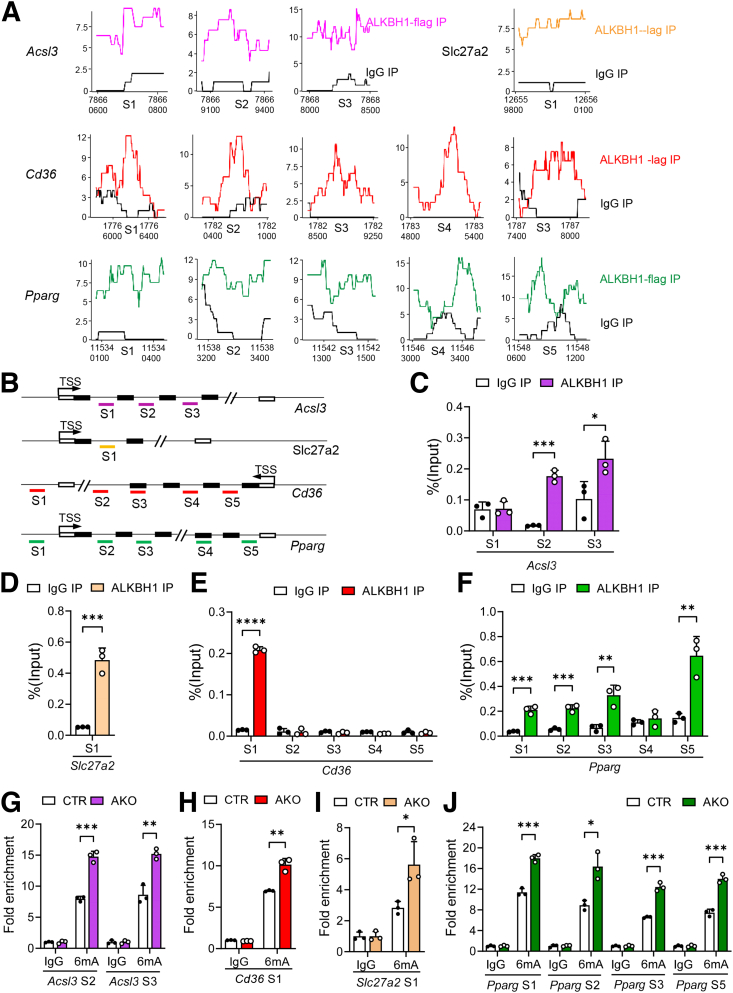 Figure 10