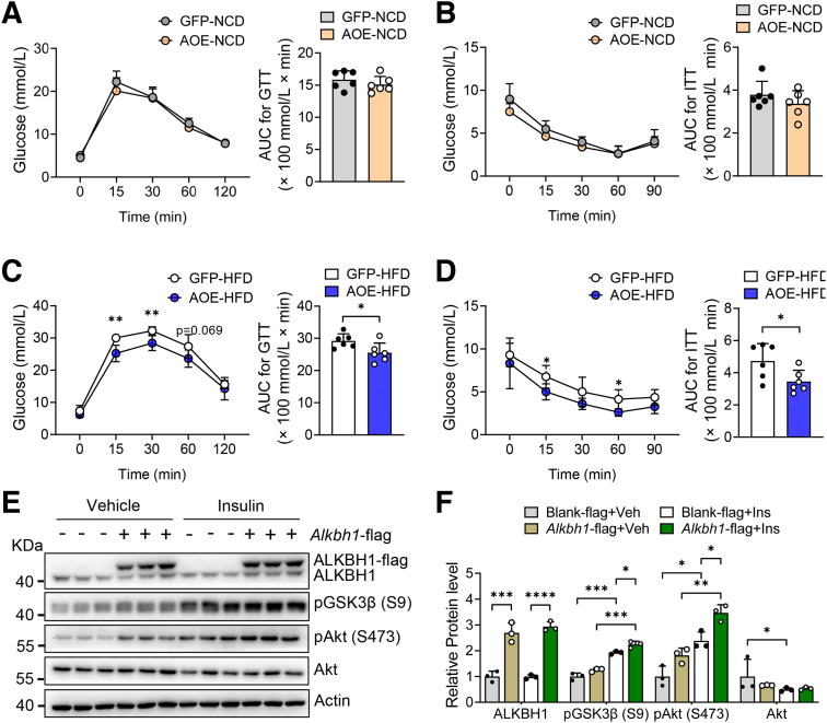 Figure 12