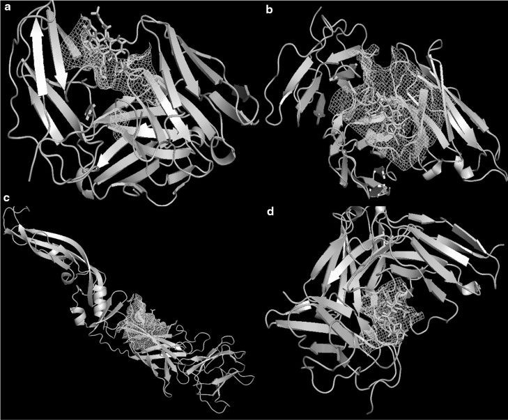 Fig. 2