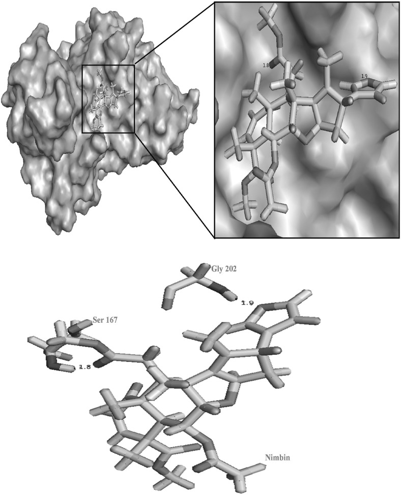 Fig. 6