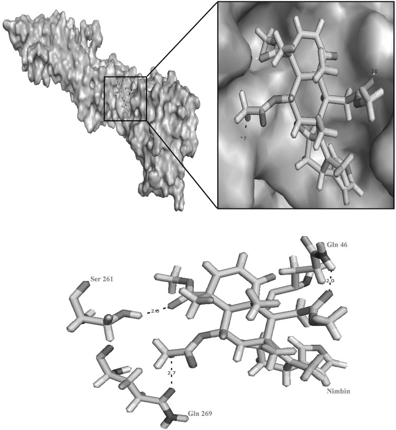 Fig. 5