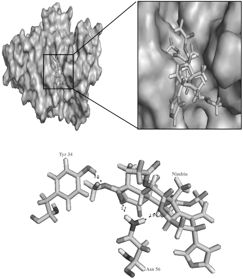 Fig. 3