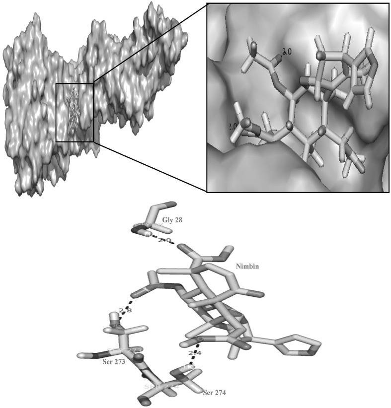 Fig. 4