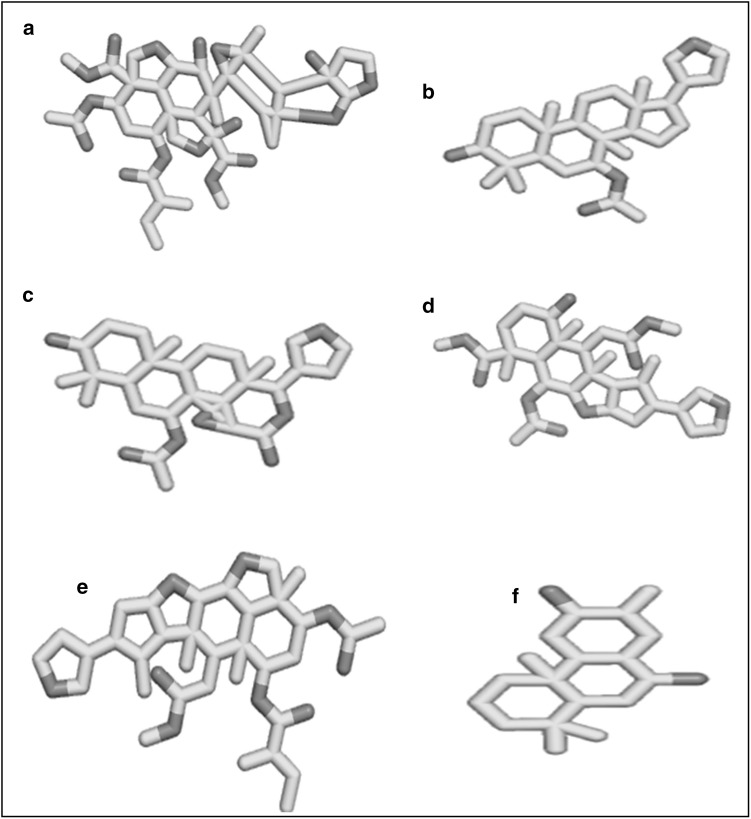 Fig. 1