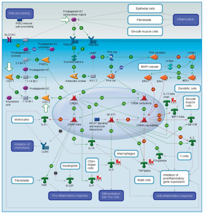 FIGURE 4