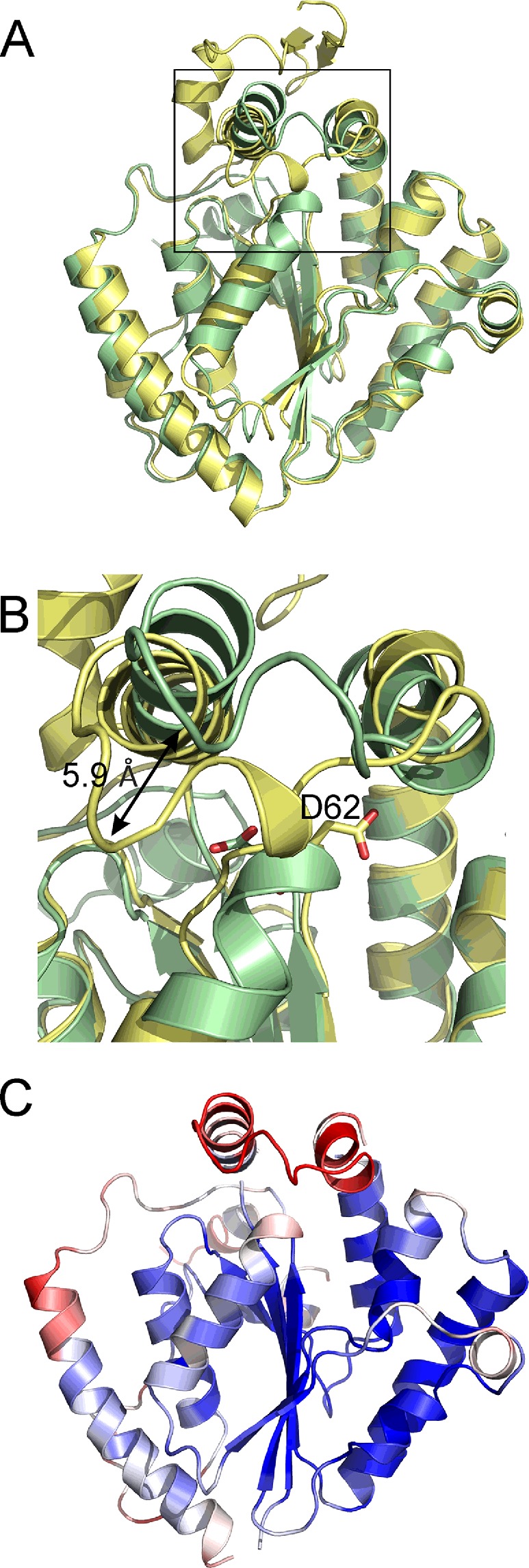 Figure 7