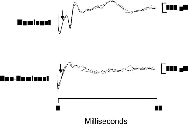 Figure 1  