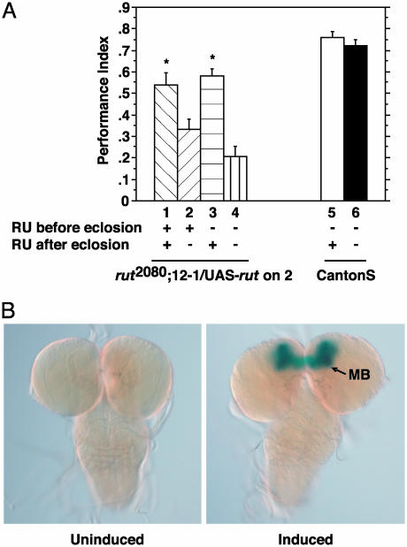 Fig. 5.