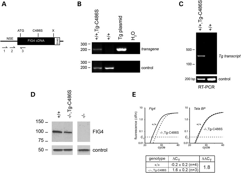 Figure 2.