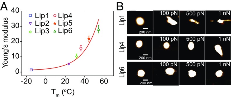 Fig. 4.