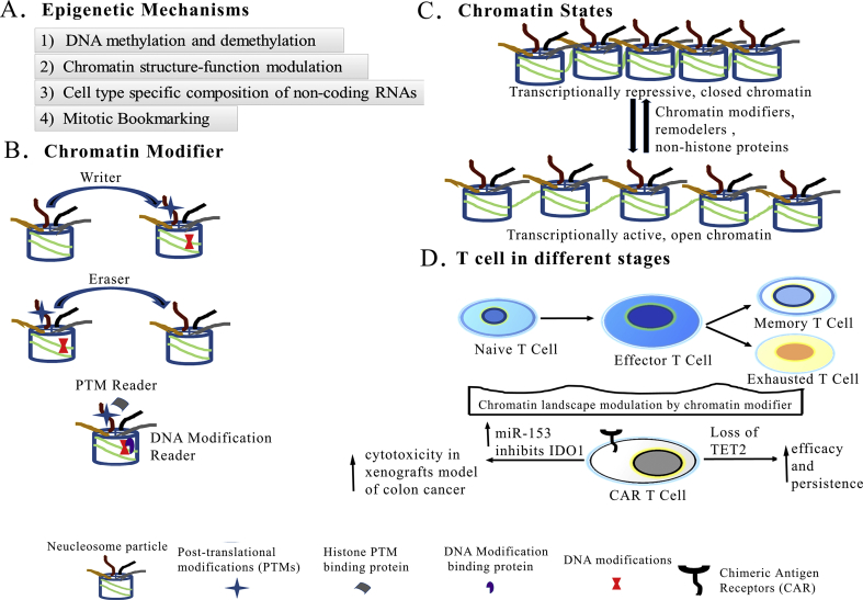 Figure 4