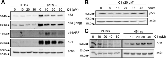 Figure 2