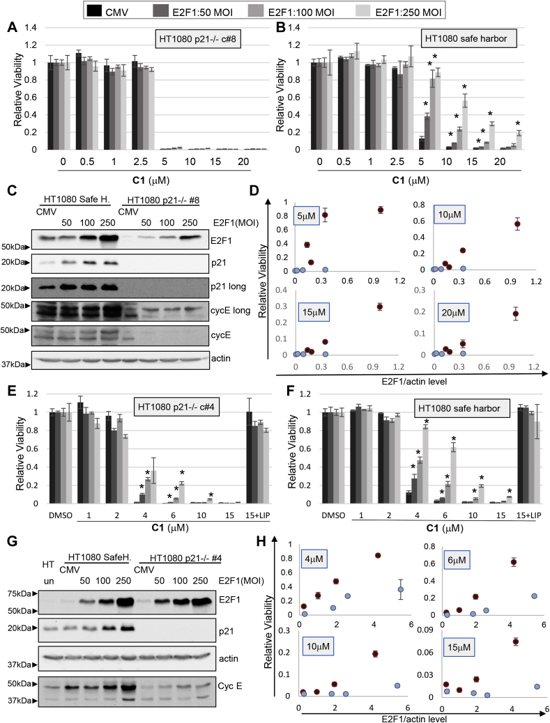 Figure 11