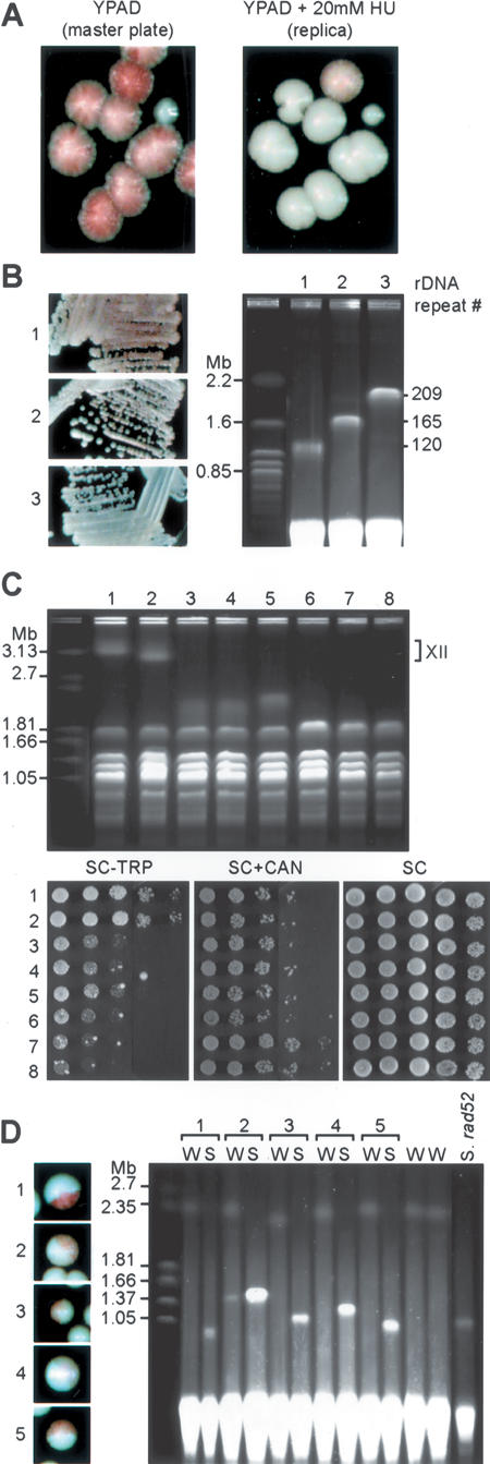 Figure 2.