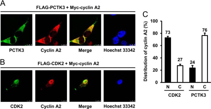 FIGURE 4.