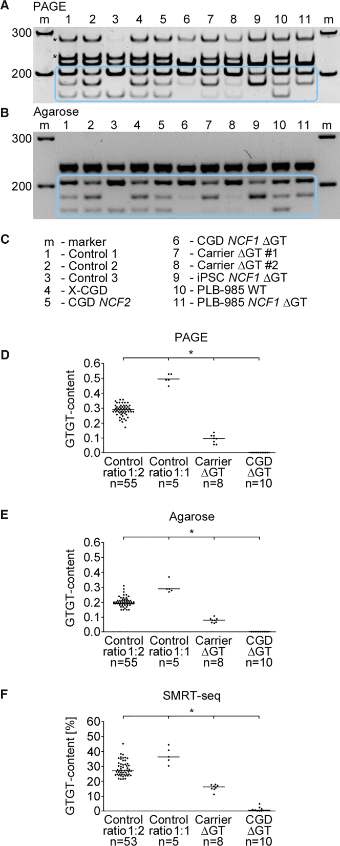 Figure 2