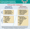 Graphical abstract