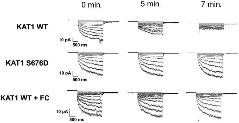 Figure 6.