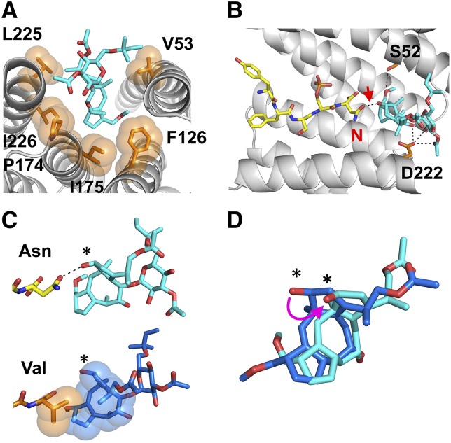 Figure 4.