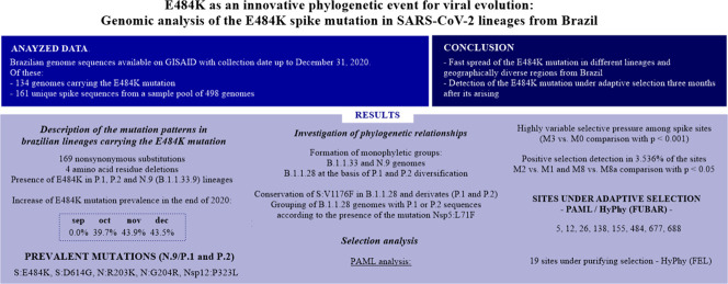 Unlabelled Image