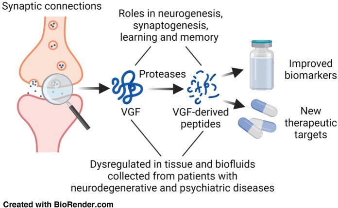 Graphical Abstract