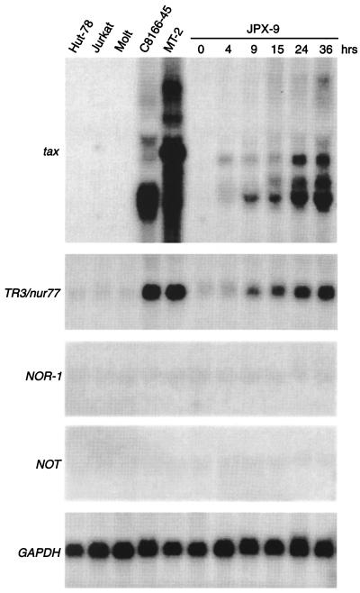 FIG. 1