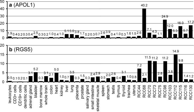 Fig. 4