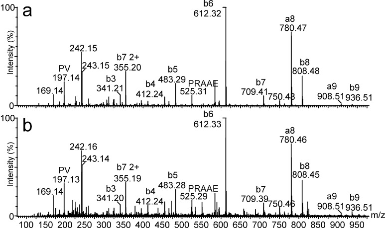 Fig. 3