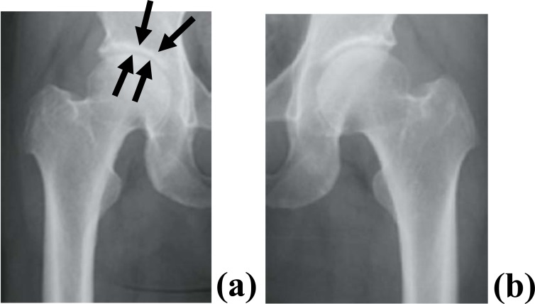 Fig. (3)