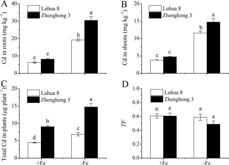 Fig 2