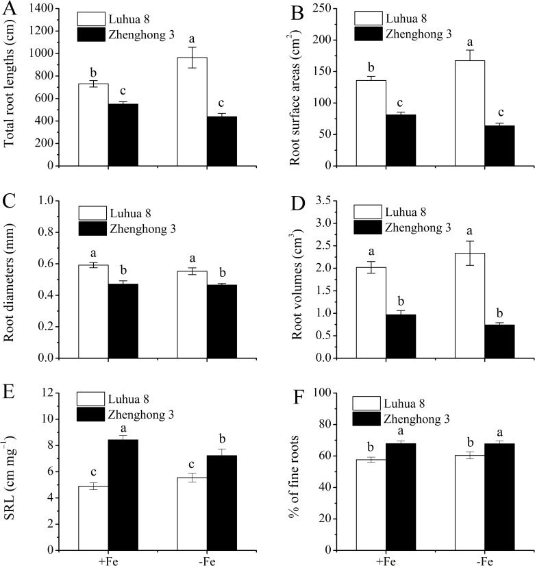 Fig 6