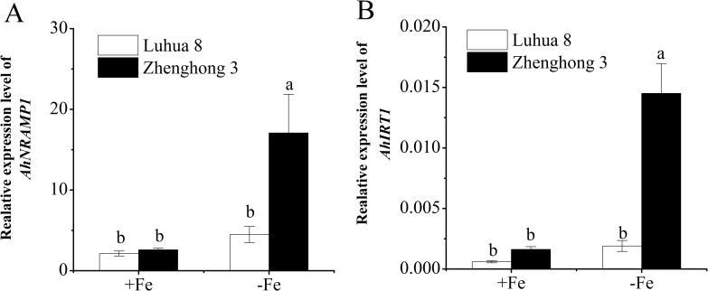 Fig 4