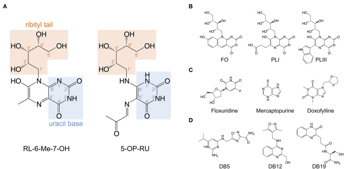 Figure 2