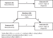 Figure 1. Mediation analysis model. The figure shows the causal mediation analysis pathways, including the total effect, direct, and indirect effects.