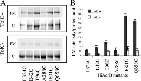 FIG. 2.