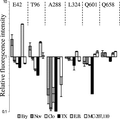 FIG. 6.