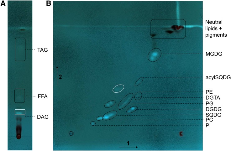 Figure 3.