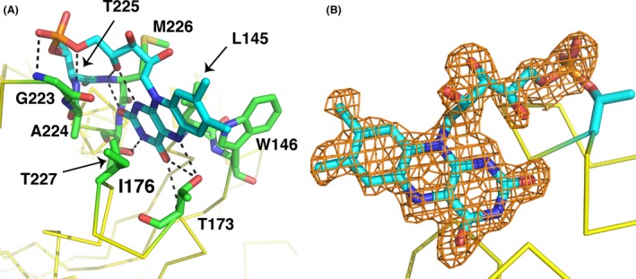 Figure 7