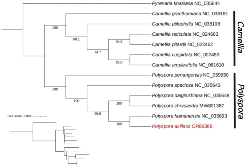 Figure 3.