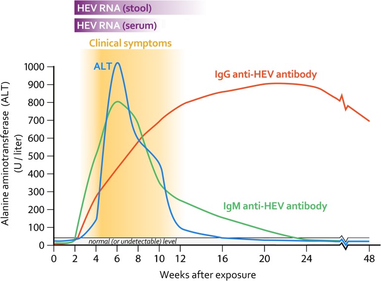 FIG 3