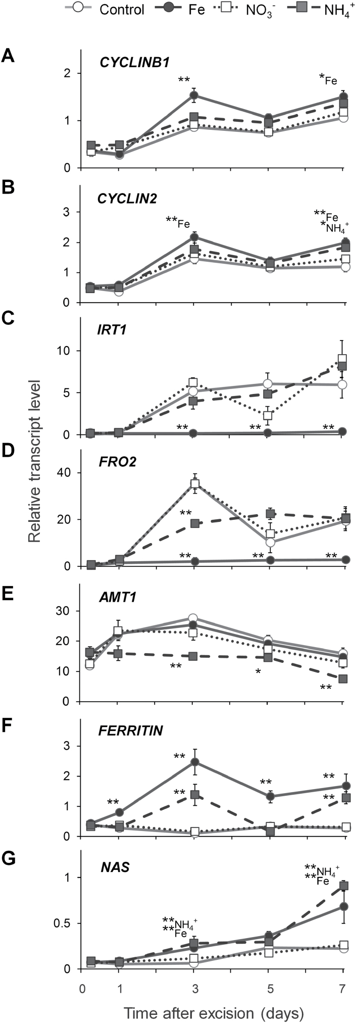 Fig. 9.