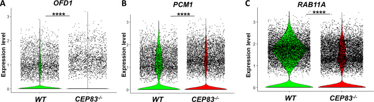 Figure 5—figure supplement 3.