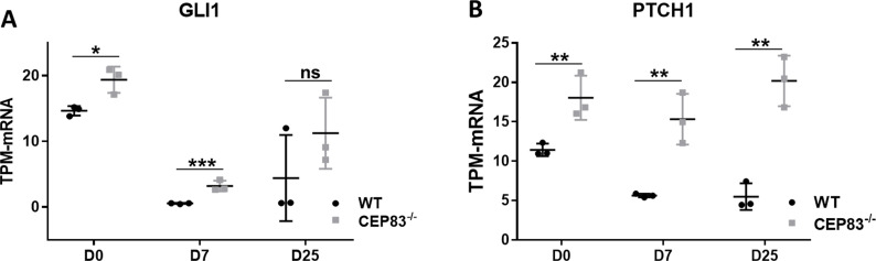 Figure 6—figure supplement 3.