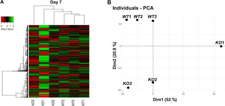 Figure 4—figure supplement 1.